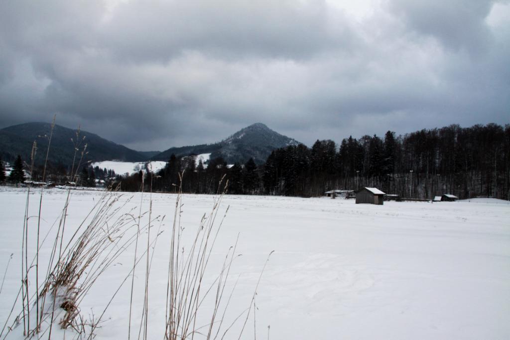 Gräser, Schnee und Berge.jpg - Gräser, Schnee und Berge / Schliersee